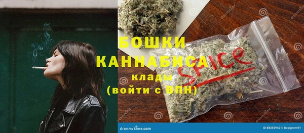 PSILOCYBIN Бронницы