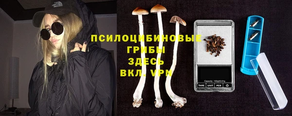 PSILOCYBIN Бронницы