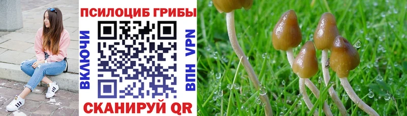 Галлюциногенные грибы мицелий  Купить где  Мензелинск 